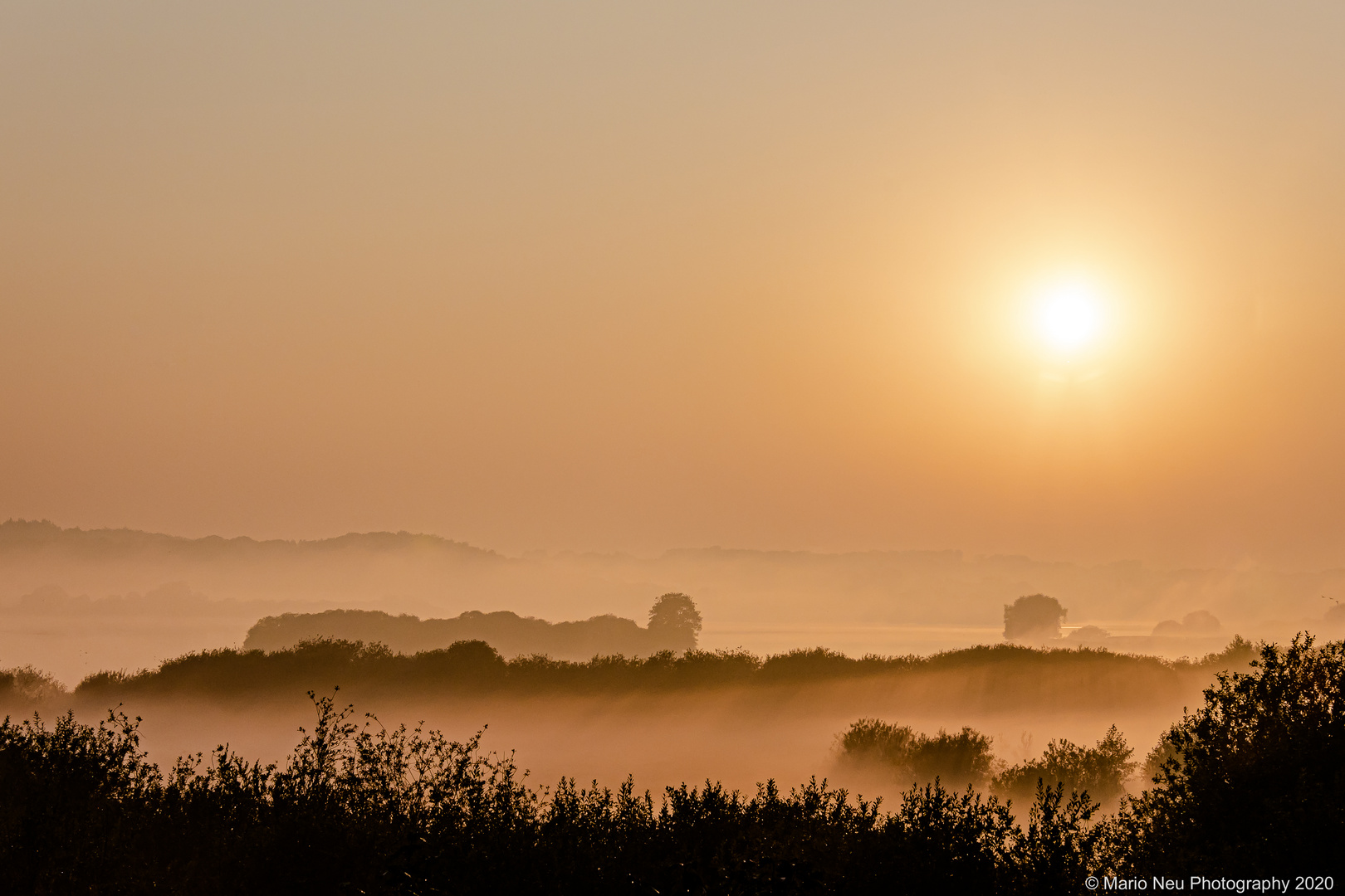 Autumn misty morning