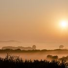 Autumn misty morning