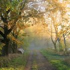 Autumn mood at Nature Reserve Oberalsterniederung