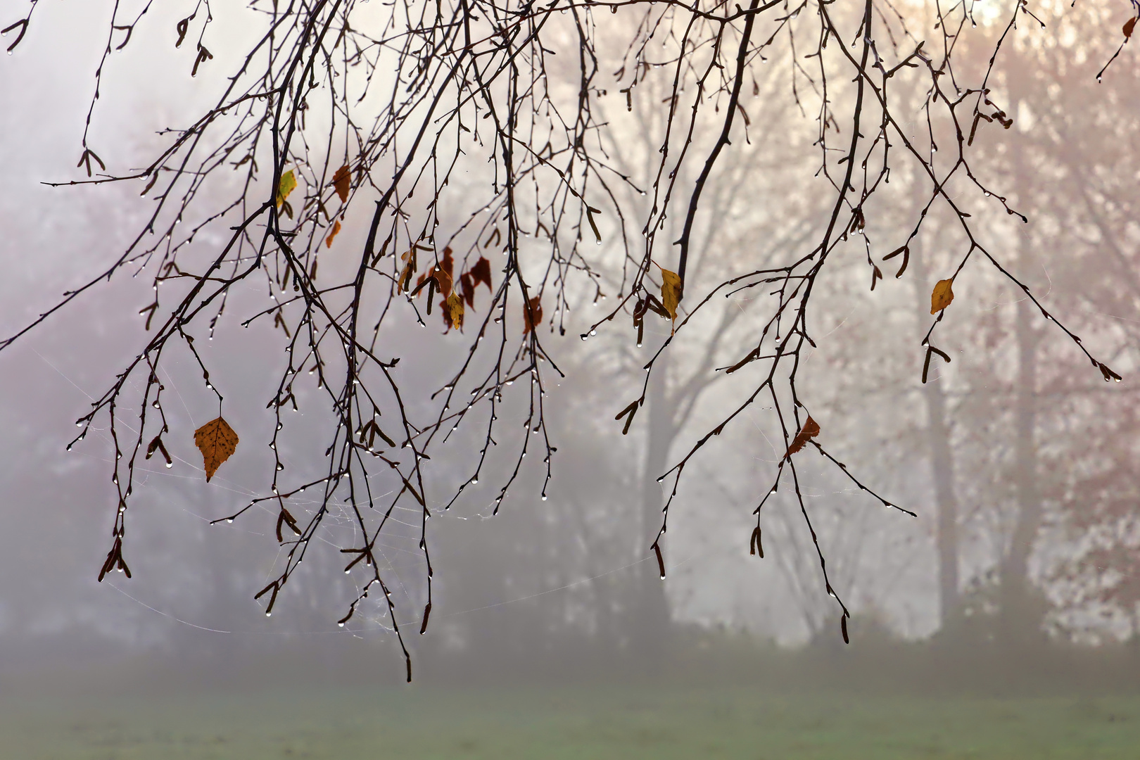 autumn-mood - Herbststimmung