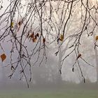 autumn-mood - Herbststimmung