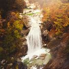 *Autumn Moods*