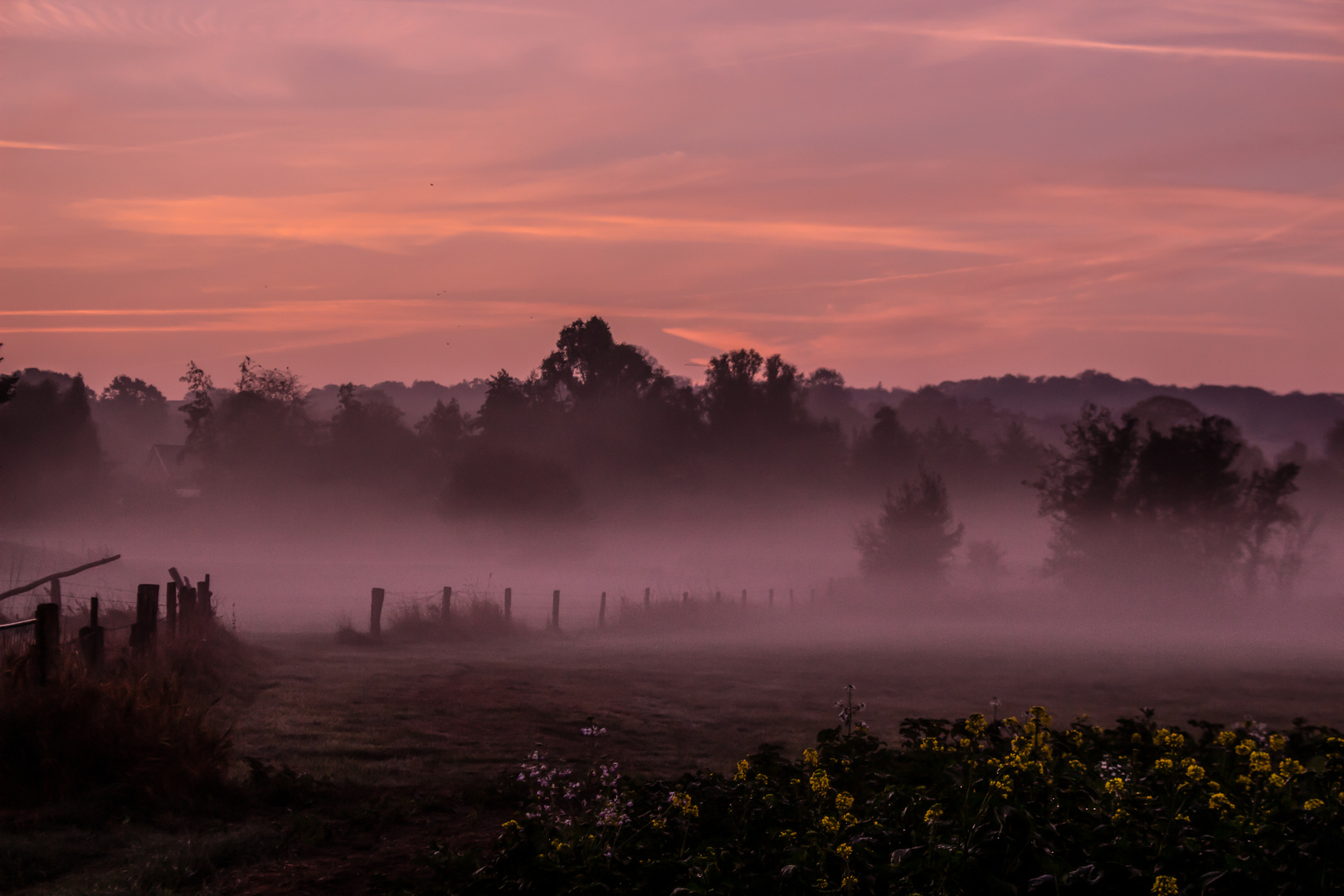 Autumn Morning