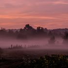 Autumn Morning