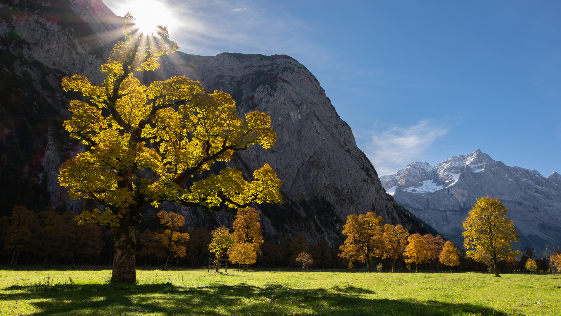 Autumn Morning