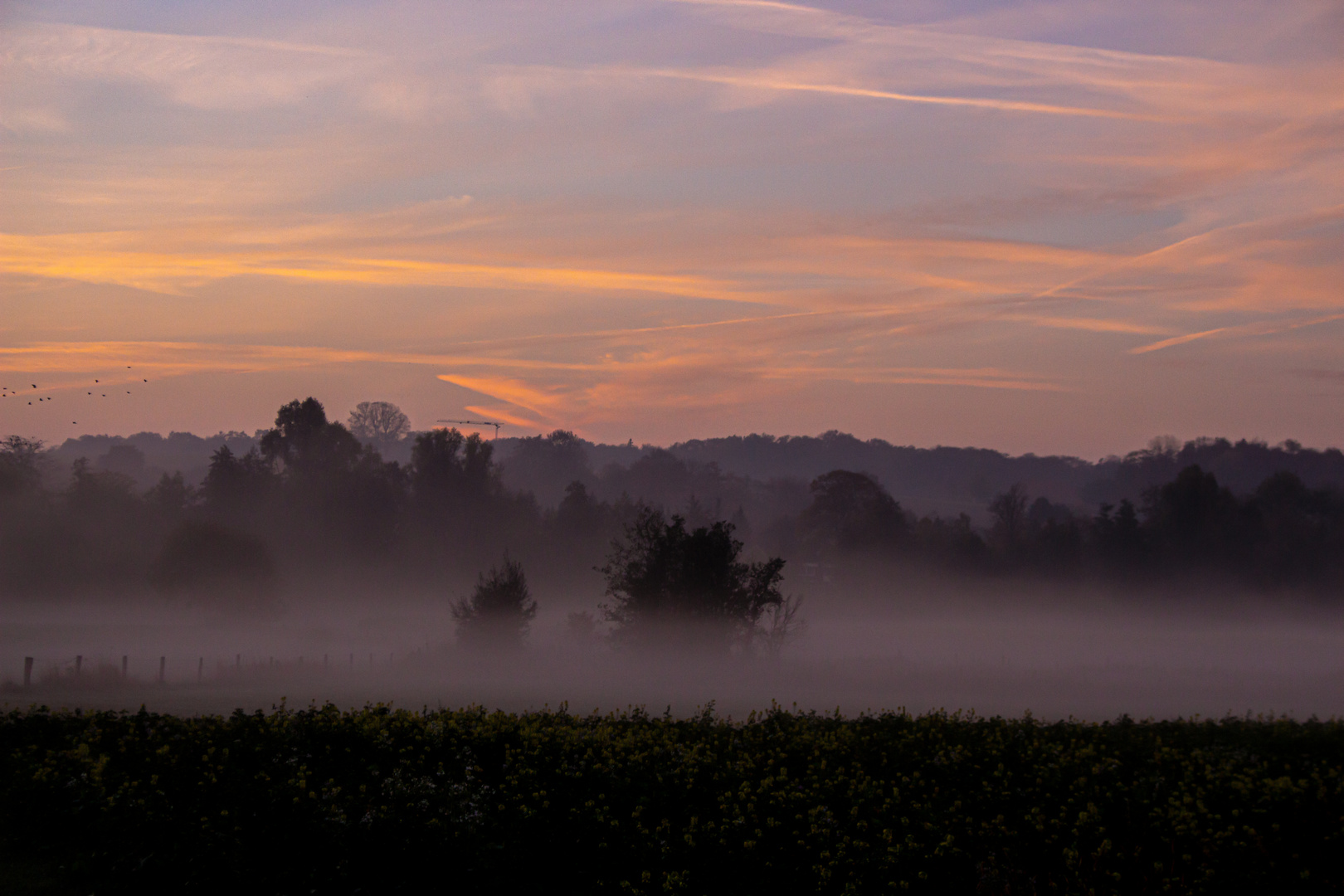 Autumn Morning