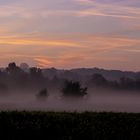 Autumn Morning