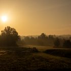 Autumn Morning