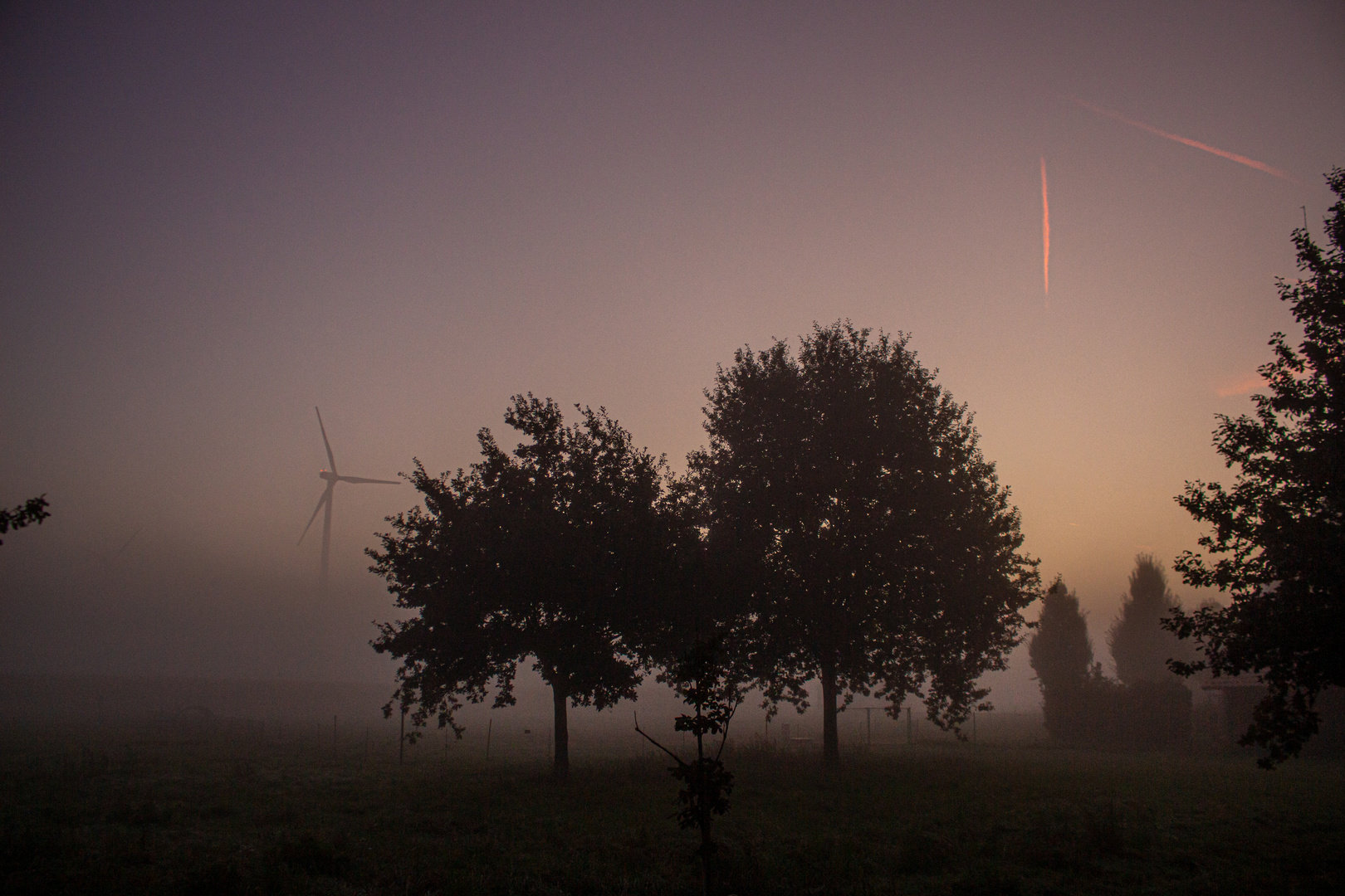 Autumn Morning