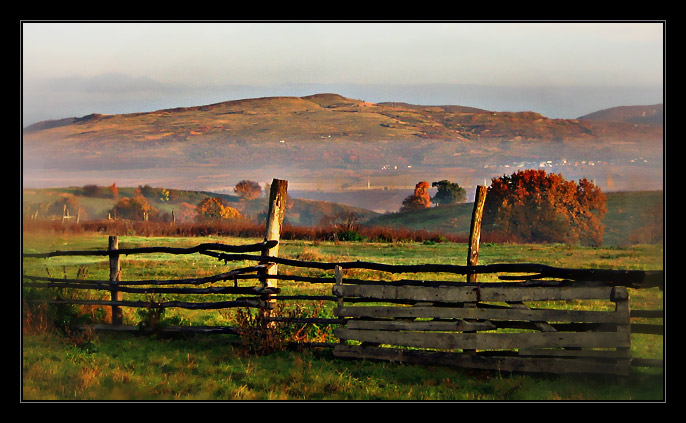 Autumn Morning