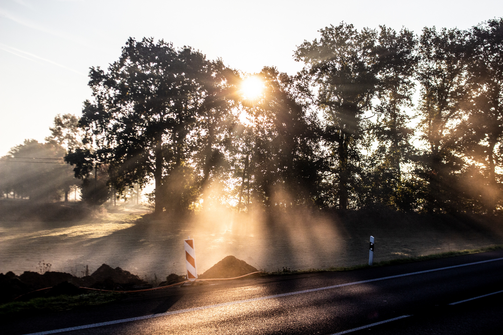 Autumn Morning