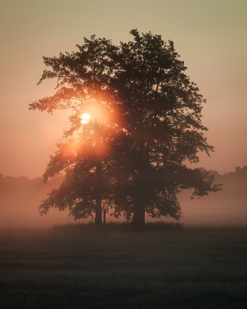 Autumn morning