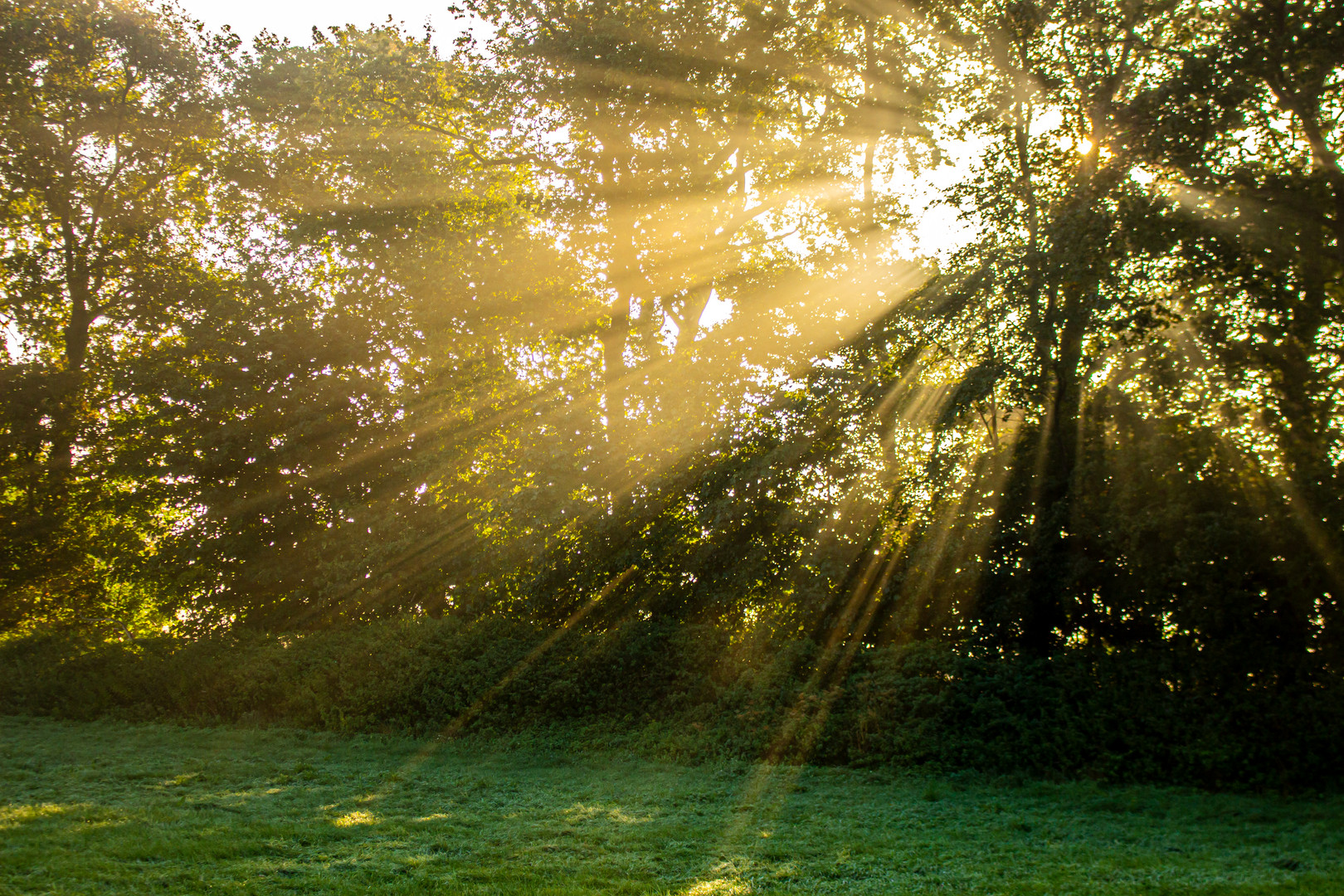 Autumn morning