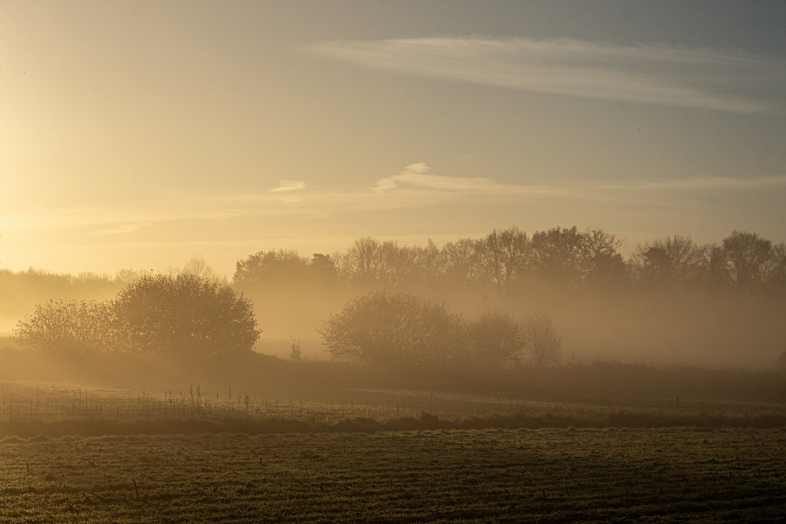 Autumn Morning