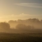 Autumn Morning