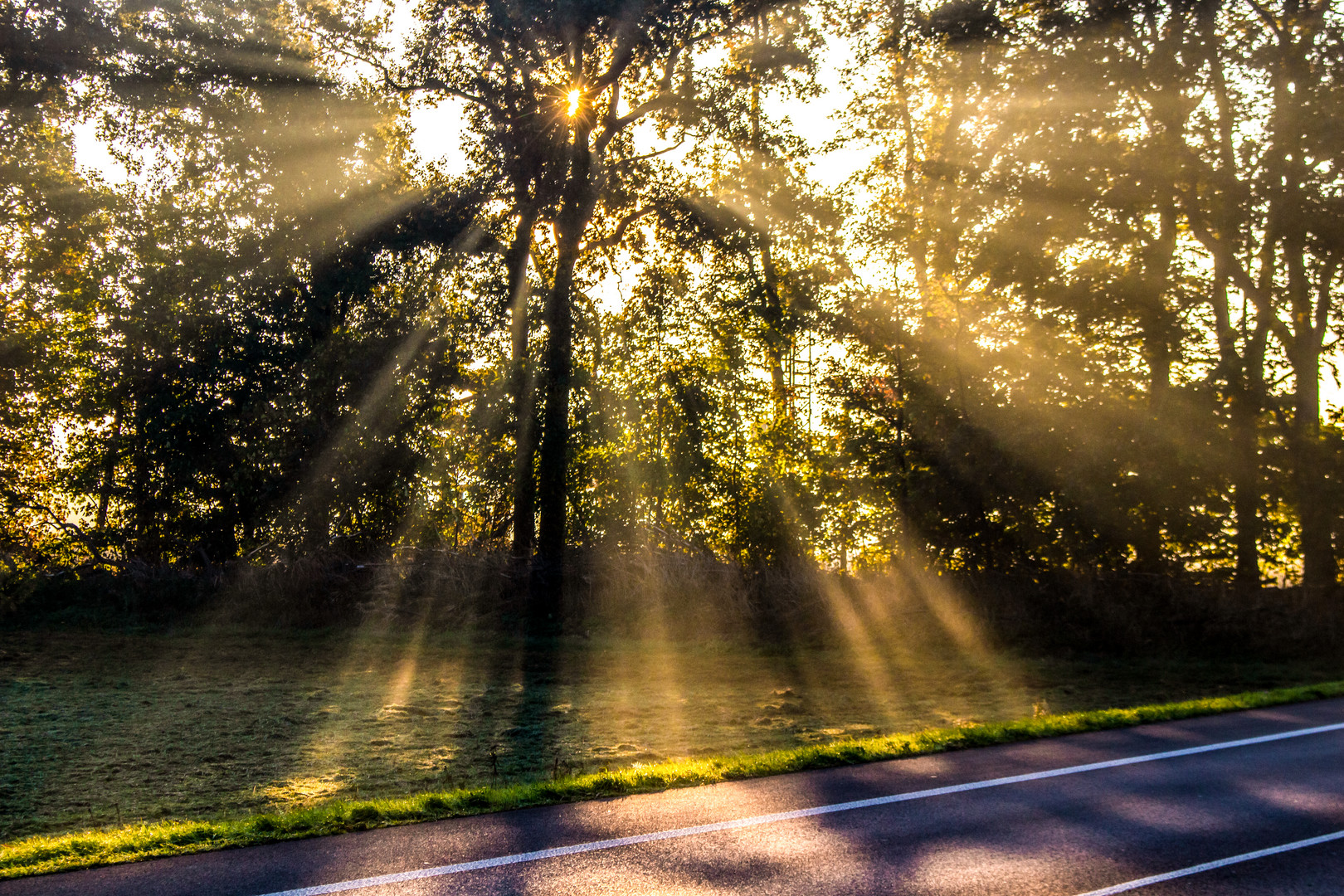 Autumn Morning