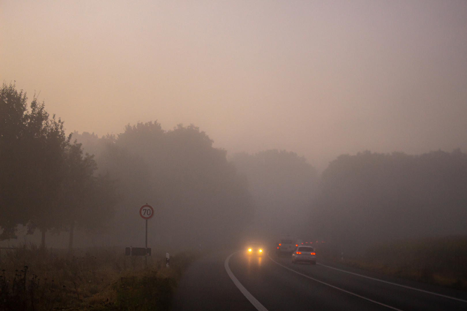 Autumn Morning