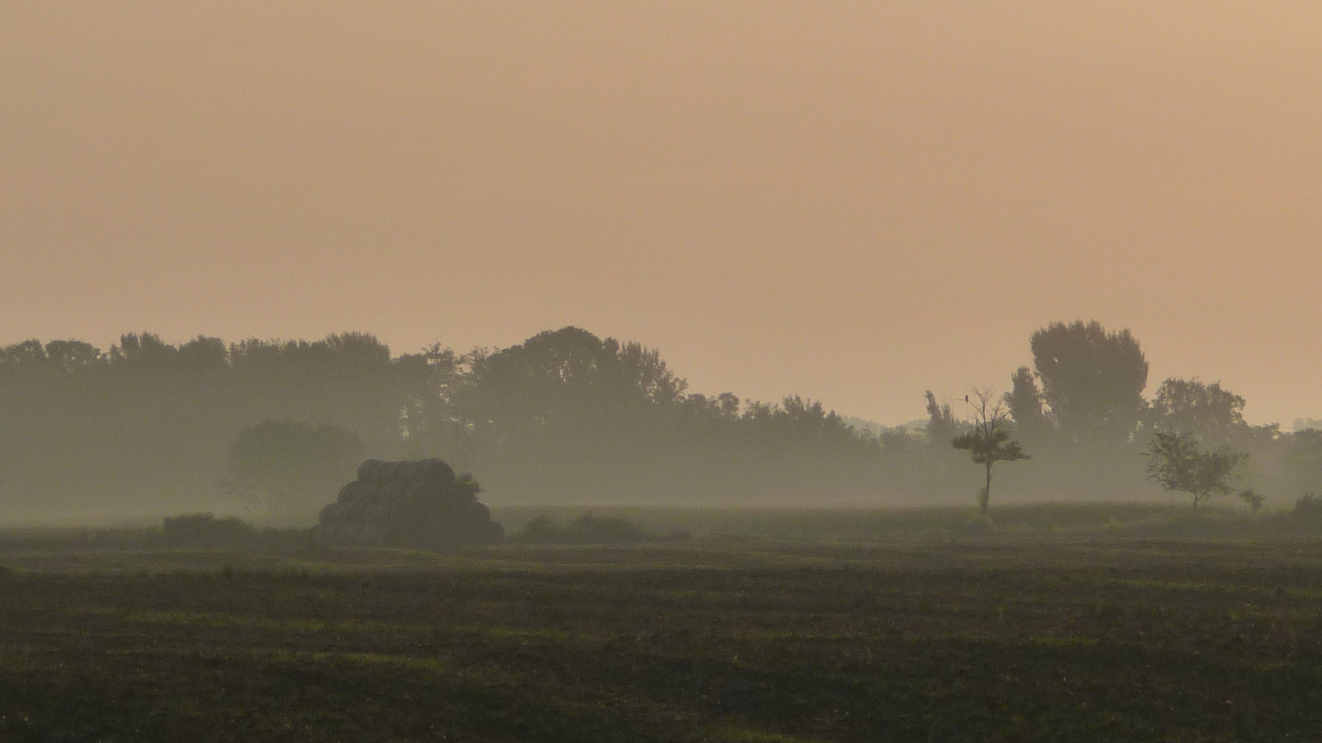 Autumn morning