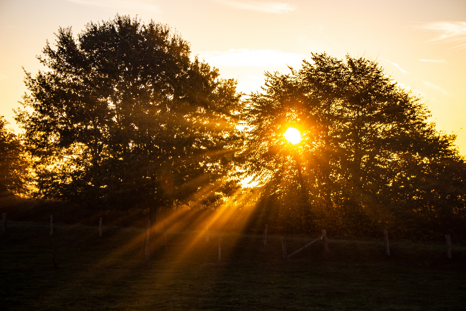 Autumn Morning, Coesfeld, Germany