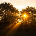 Autumn Morning, Coesfeld, Germany