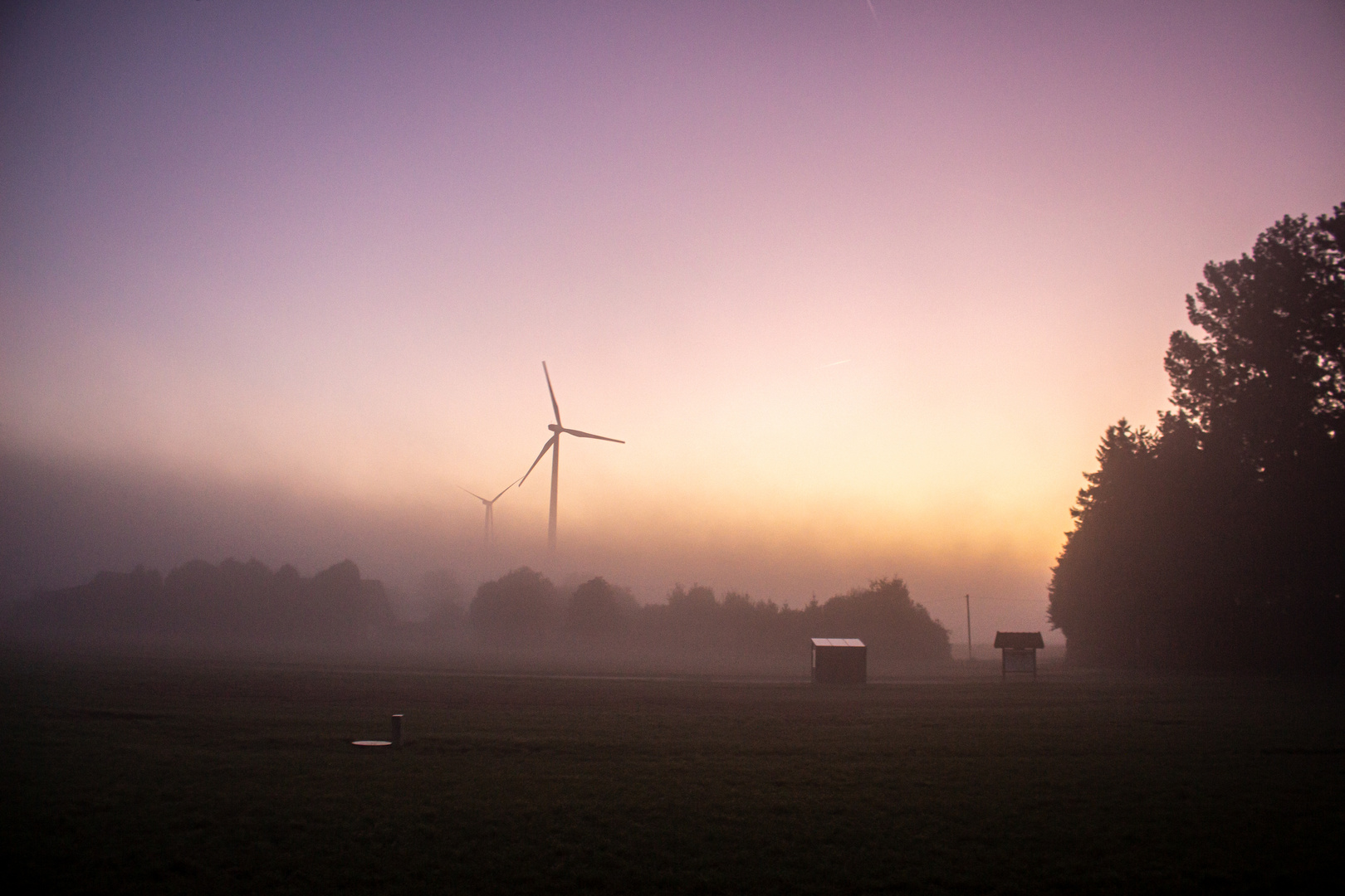 Autumn Morning