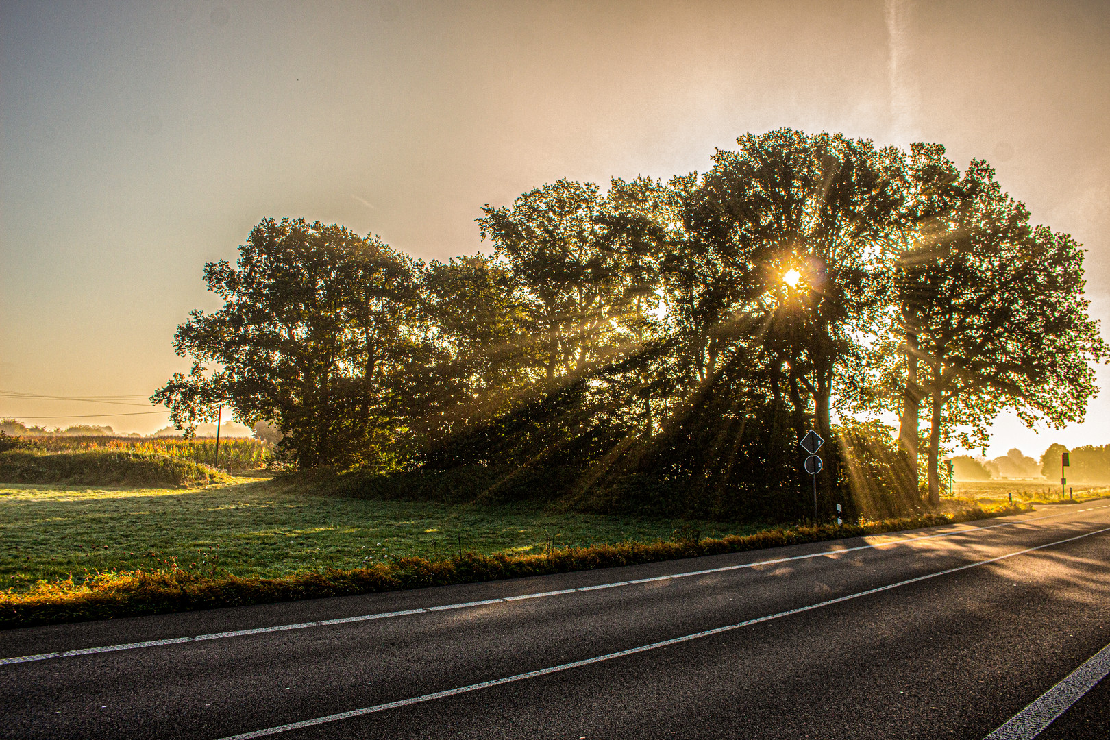 Autumn Morning