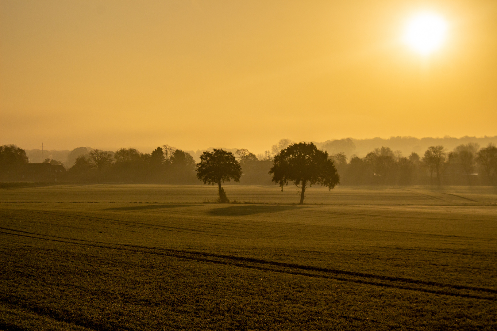 Autumn Morning