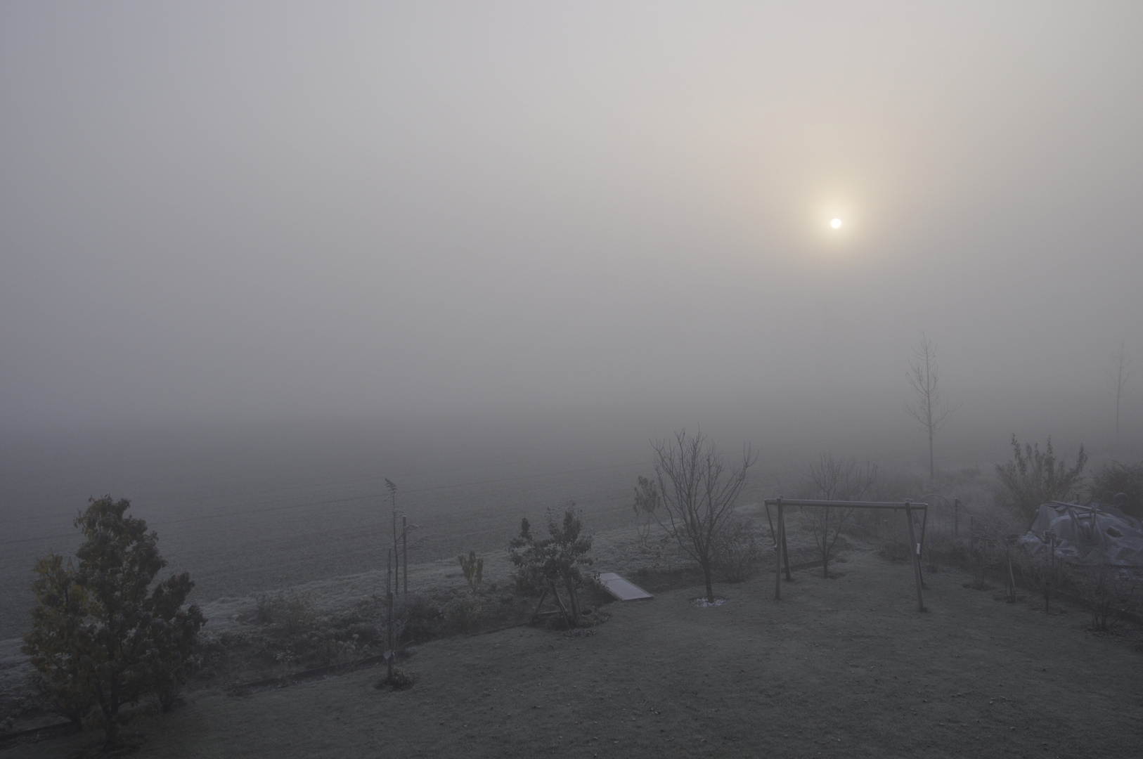 Autumn morning hoar frost