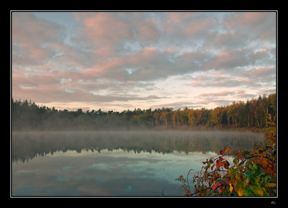 Autumn morning II