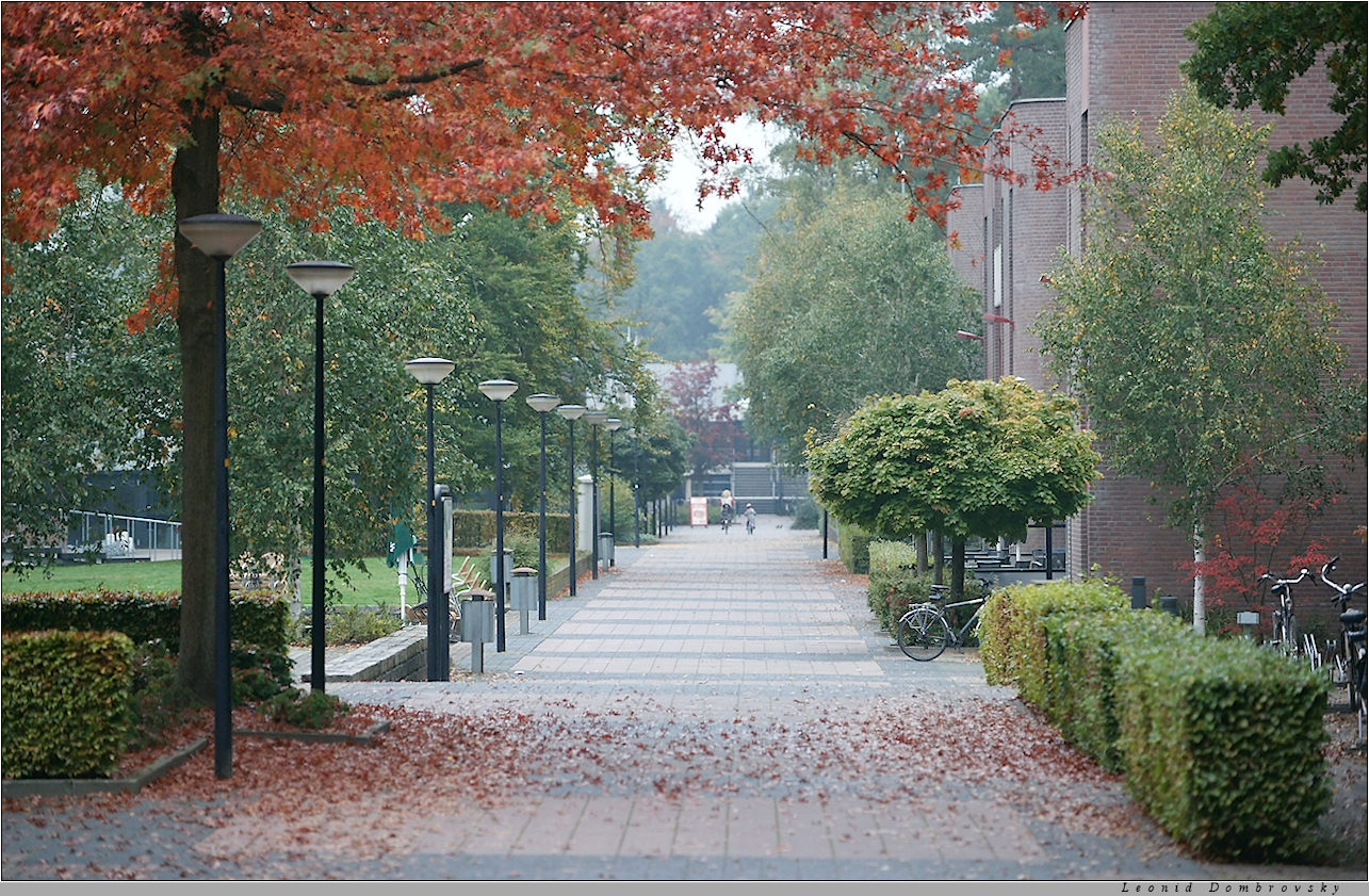 Autumn morning in Enschede