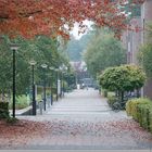 Autumn morning in Enschede