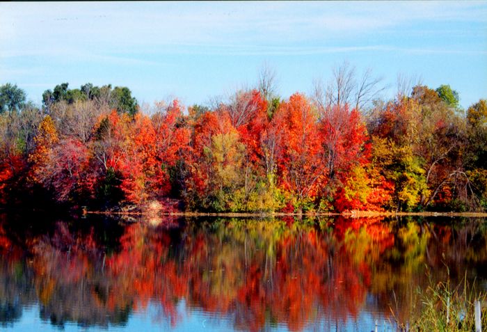 Autumn morning in Michigan