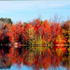 Autumn morning in Michigan