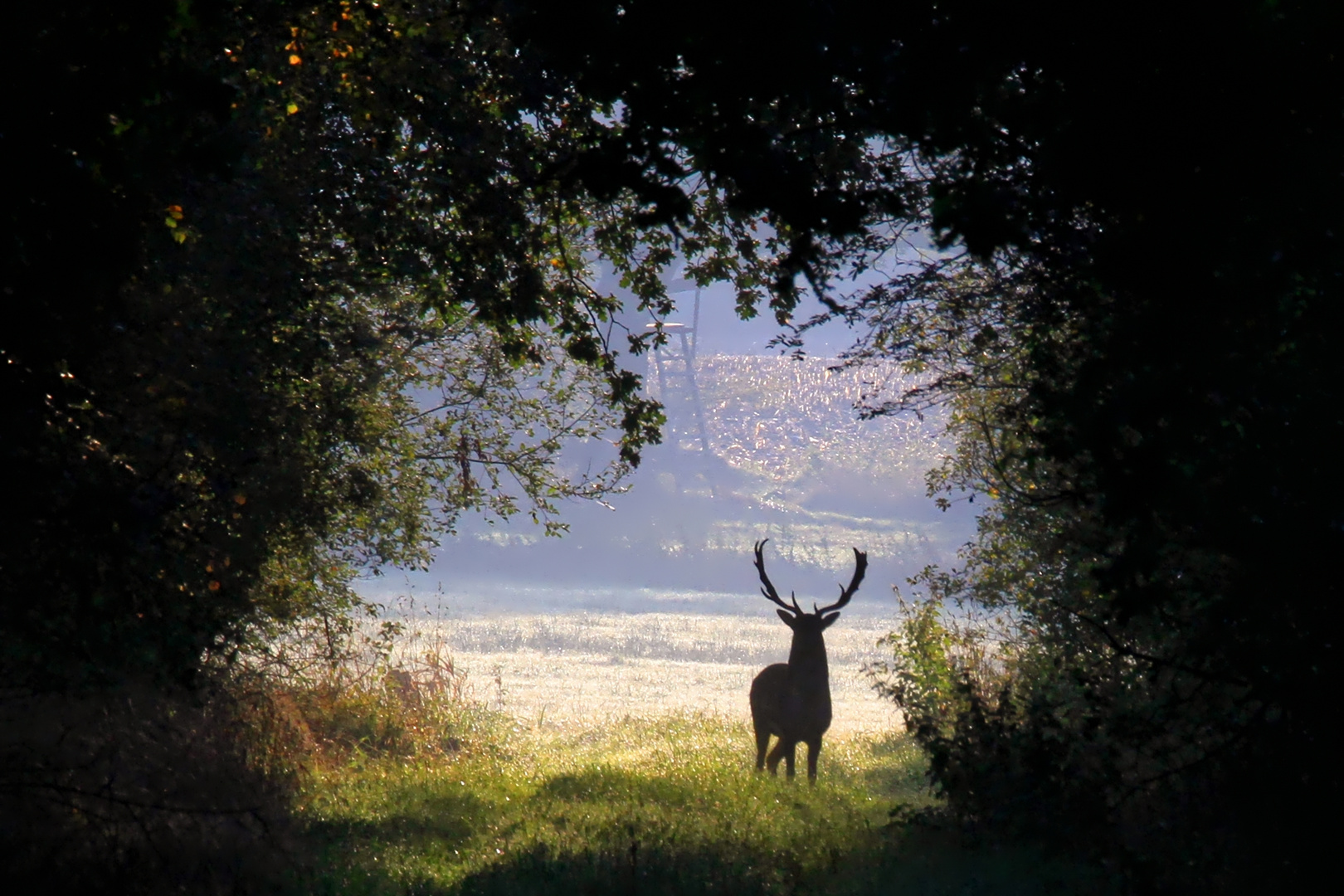 Autumn morning meeting - at a safe distance