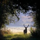 Autumn morning meeting - at a safe distance