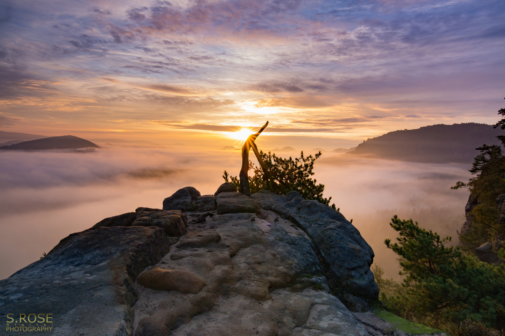 Autumn Morning with Fog