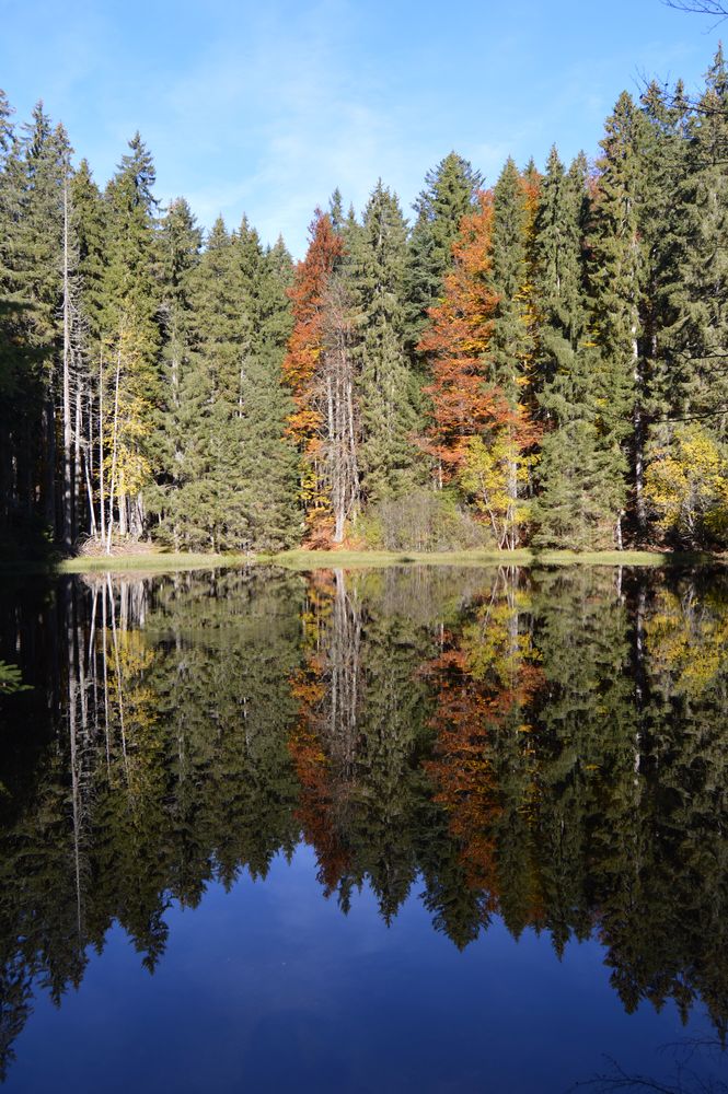 autumn nature, reflection in water