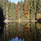 autumn nature, reflection in water