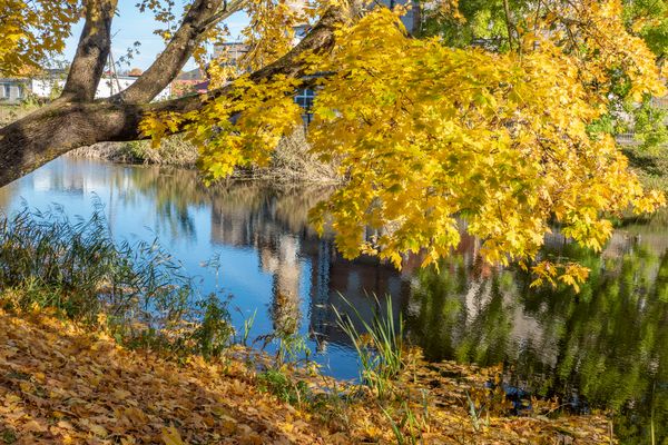 Autumn near the river