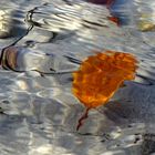 Autumn-Ocean/ Herbst-Meer