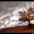 Autumn of Azarbaijan