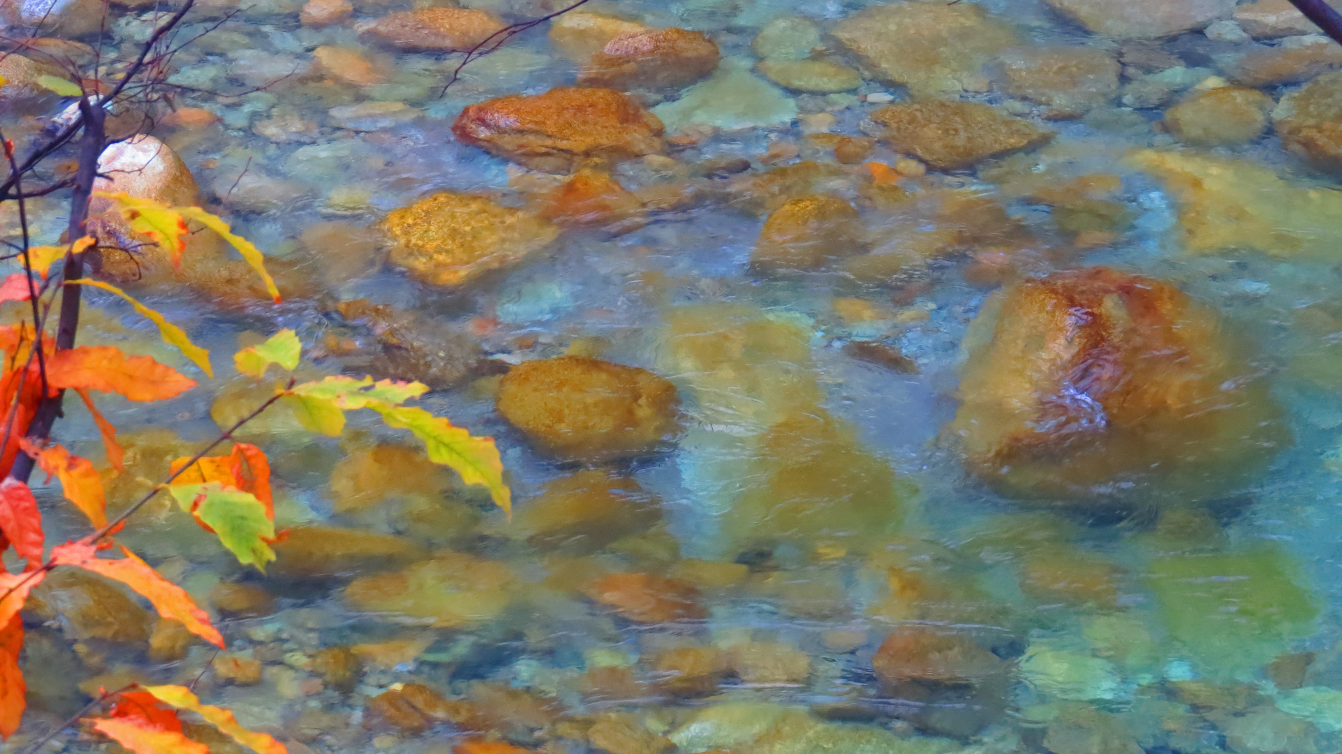 Autumn - omaggio a Claude Monet -