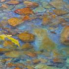 Autumn - omaggio a Claude Monet -