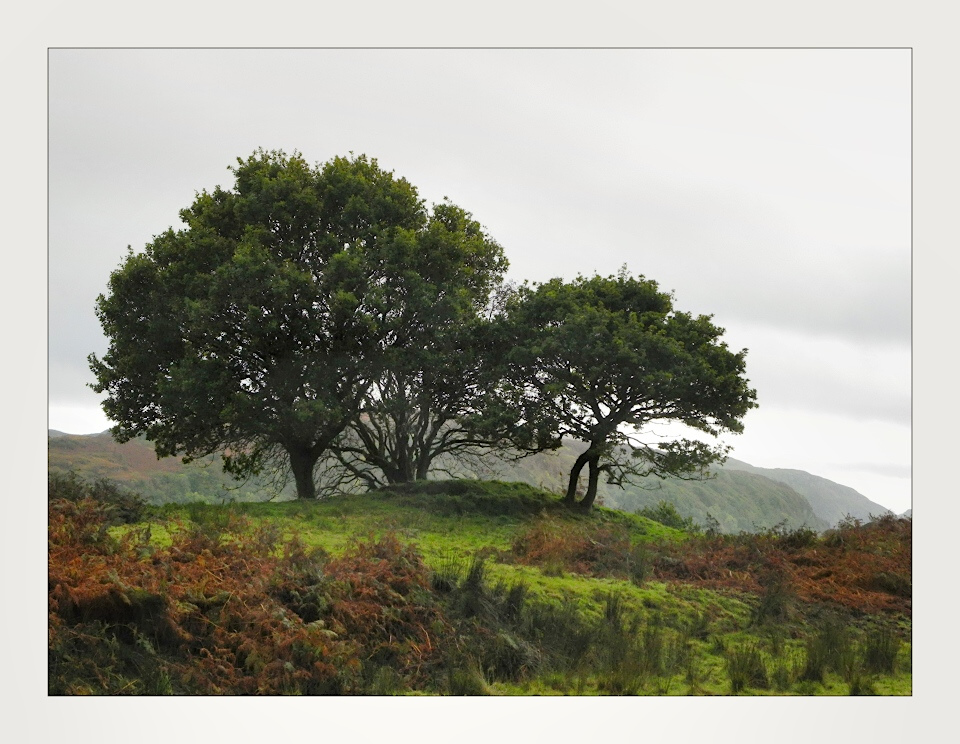 Autumn on Isle of Seil