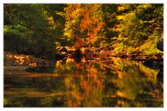 autumn on the cumberland trail