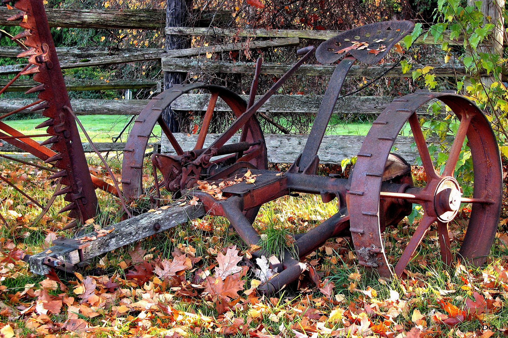 Autumn on the Farm