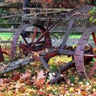 Autumn on the Farm