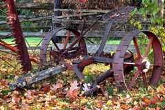 Autumn on the Farm