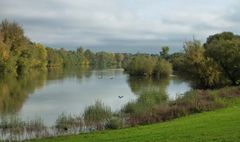 Autumn on the River (3)