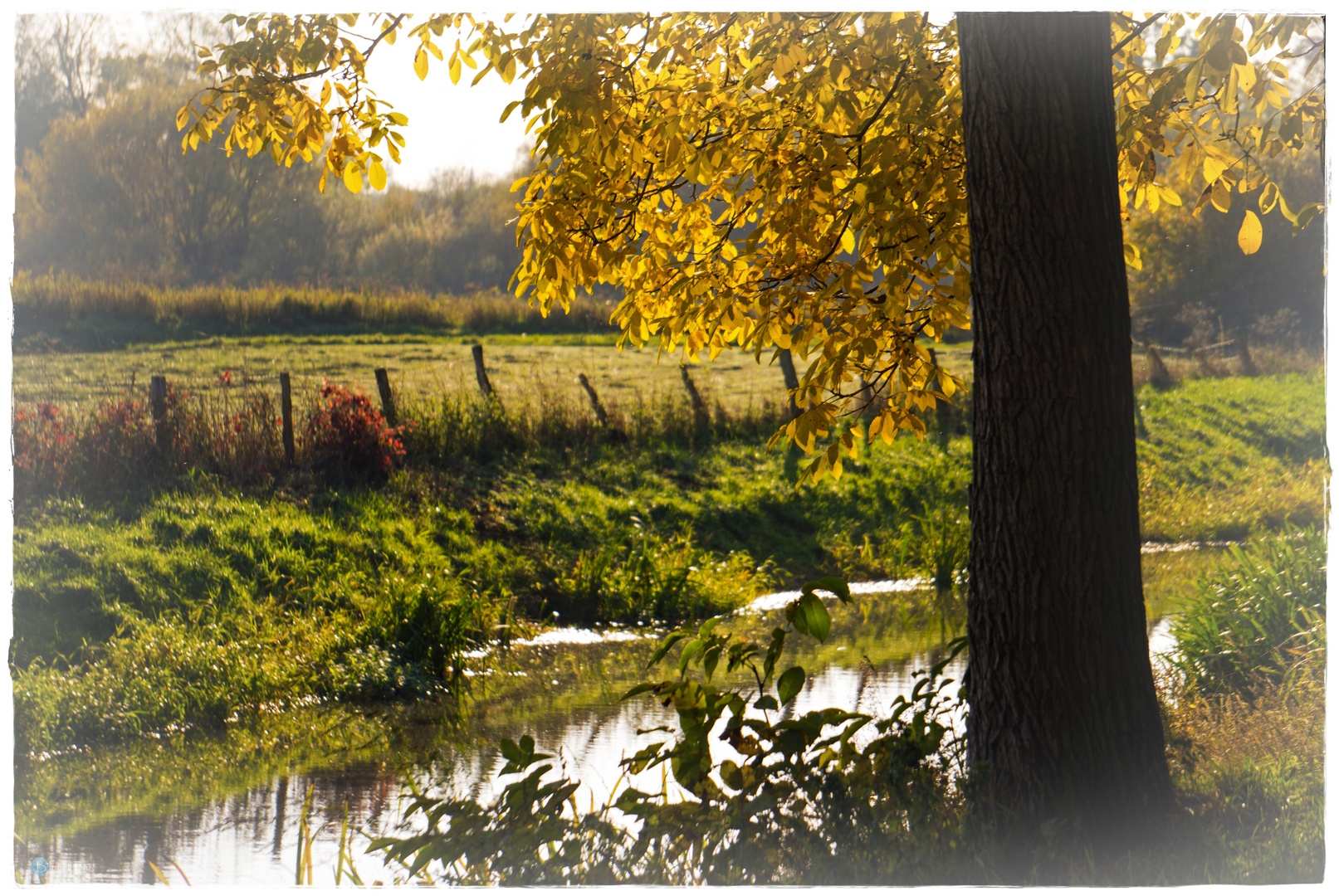 Autumn on the river